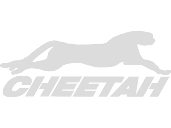 راهنمای استفاده از دزدگیر چیتا ساده Cheetah