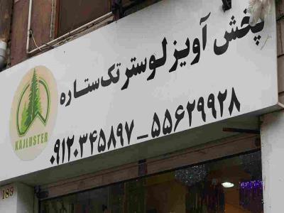  گالری لوستر تک ستاره  - لوستر فروشی - آینه و شمعدان - کنسول و ویترین - پانزده خرداد - منطقه 12 - تهران