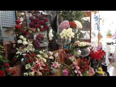  فروشگاه گل بیتا 