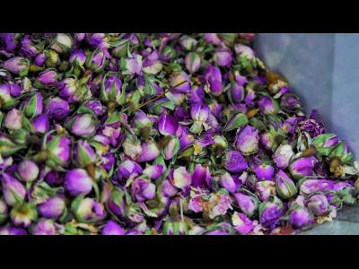 عطاری فردوس - گیاهان دارویی - داروهای گیاهی -  ادویه جات - زعفران در پردیس - پردیس - شرق تهران