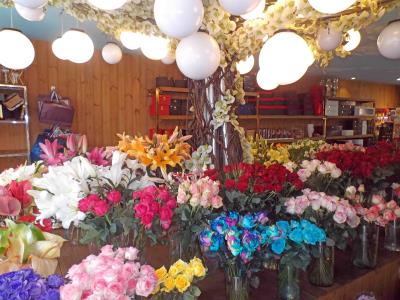 گل نسترن - گلفروشی - فروش گل طبیعی - گل مصنوعی - گیاه طبیعی - گیاه مصنوعی - تاج گل - دسته گل - سبد گل - گل آرایی ماشین عروس - گل فروشی در خیام - بهترین گل فروشی در خیام - مشهد