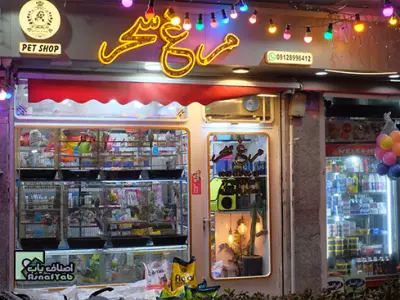 پت شاپ مرغ سحر 
