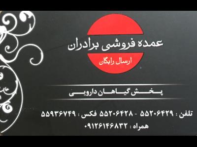  پخش گیاهان دارویی برادران